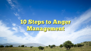 Read more about the article 10 Steps to Anger Management