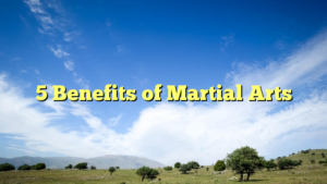 Read more about the article 5 Benefits of Martial Arts
