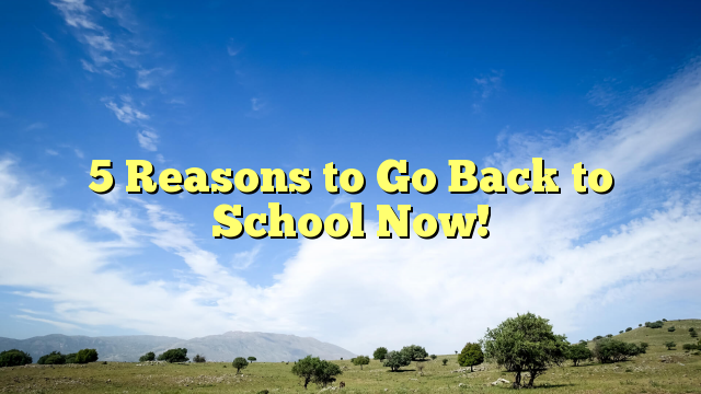 Read more about the article 5 Reasons to Go Back to School Now!