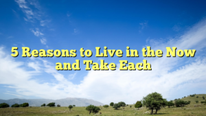 Read more about the article 5 Reasons to Live in the Now and Take Each