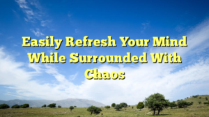 Read more about the article Easily Refresh Your Mind While Surrounded With Chaos