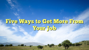 Read more about the article Five Ways to Get More From Your Job