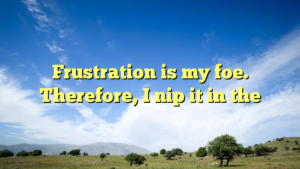 Read more about the article Frustration is my foe. Therefore, I nip it in the
