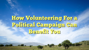 Read more about the article How Volunteering For a Political Campaign Can Benefit You