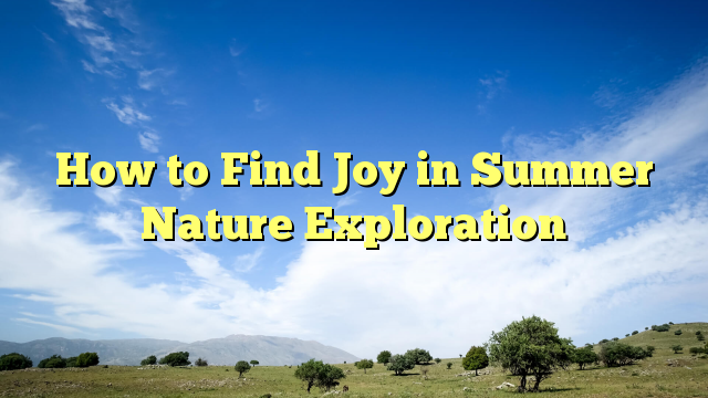 Read more about the article How to Find Joy in Summer Nature Exploration