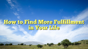 Read more about the article How to Find More Fulfillment in Your Life