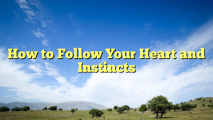 Read more about the article How to Follow Your Heart and Instincts