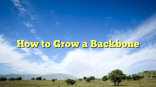 Read more about the article How to Grow a Backbone