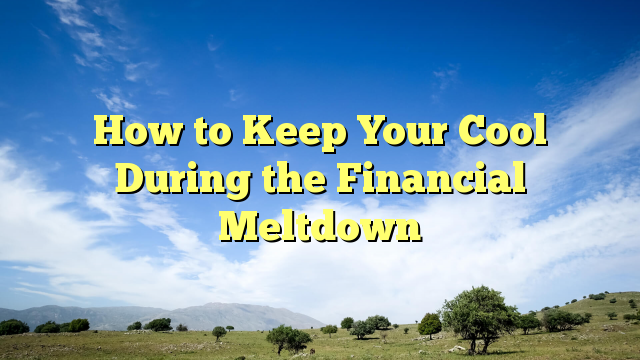 Read more about the article How to Keep Your Cool During the Financial Meltdown