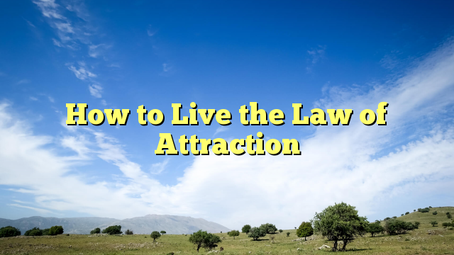 Read more about the article How to Live the Law of Attraction