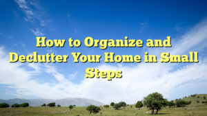 Read more about the article How to Organize and Declutter Your Home in Small Steps