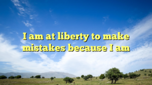 Read more about the article I am at liberty to make mistakes because I am