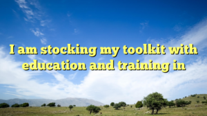 Read more about the article I am stocking my toolkit with education and training in