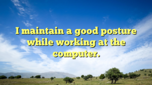 Read more about the article I maintain a good posture while working at the computer.