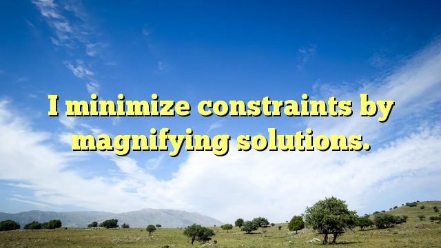 Read more about the article I minimize constraints by magnifying solutions.