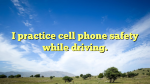 Read more about the article I practice cell phone safety while driving.