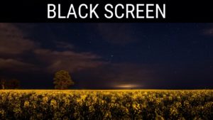 Read more about the article 🎧 Night Time Sounds With Crickets Sleep Aid Black Screen Ambience | 10 Hours Relaxing Dark Screen