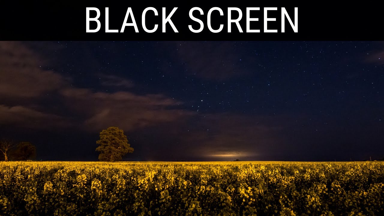 Read more about the article 🎧 Night Time Sounds With Crickets Sleep Aid Black Screen Ambience | 10 Hours Relaxing Dark Screen