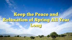 Read more about the article Keep the Peace and Relaxation of Spring All Year Long