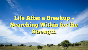 Read more about the article Life After a Breakup – Searching Within for the Strength