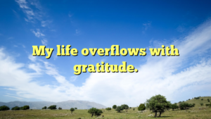 Read more about the article My life overflows with gratitude.