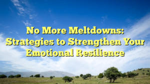 Read more about the article No More Meltdowns: Strategies to Strengthen Your Emotional Resilience