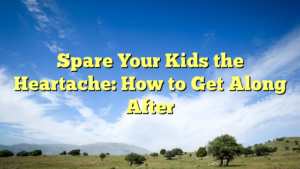 Read more about the article Spare Your Kids the Heartache: How to Get Along After