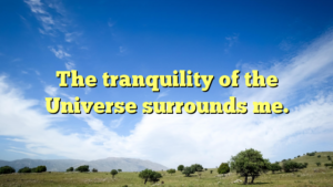 Read more about the article The tranquility of the Universe surrounds me.