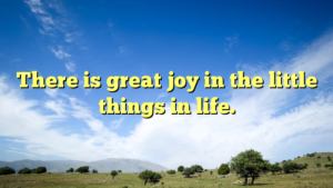 Read more about the article There is great joy in the little things in life.