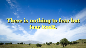 Read more about the article There is nothing to fear but fear itself.