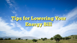 Read more about the article Tips for Lowering Your Energy Bill