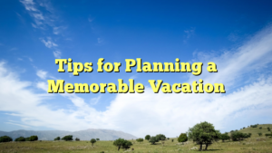 Read more about the article Tips for Planning a Memorable Vacation