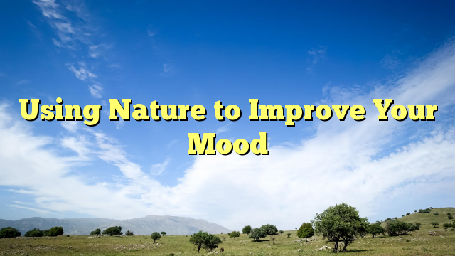 Read more about the article Using Nature to Improve Your Mood