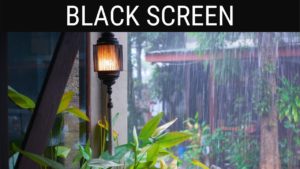 Read more about the article 🎧 Backyard Rain Sounds Black Screen Ambience | 10 Hours Relaxing And Soothing Dark/Black Screen