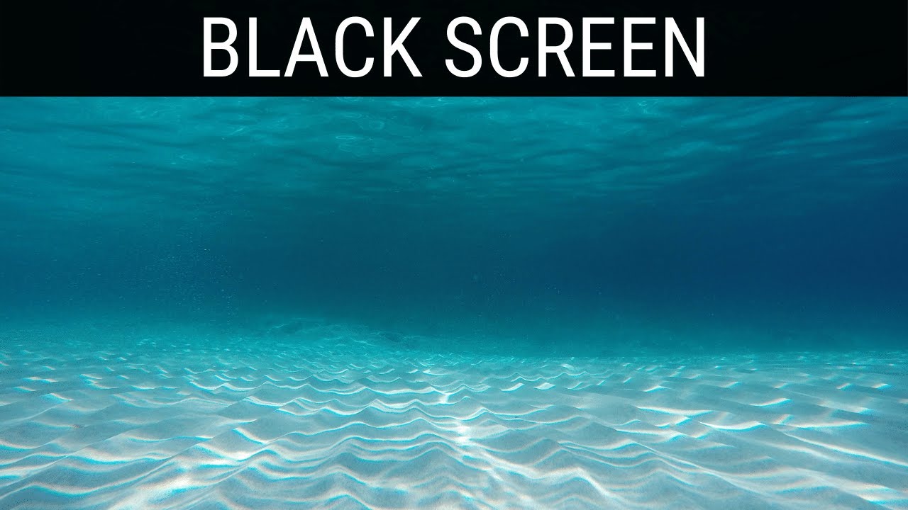 Read more about the article 🎧 Underwater Sounds For Sleeping Black Screen Ambience | 10 Hours Relaxing And Soothing Dark Screen