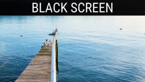 Read more about the article 🎧 Seagulls By The Dock Sounds Black Screen Ambience | 10 Hours Relaxing And Soothing Dark Screen
