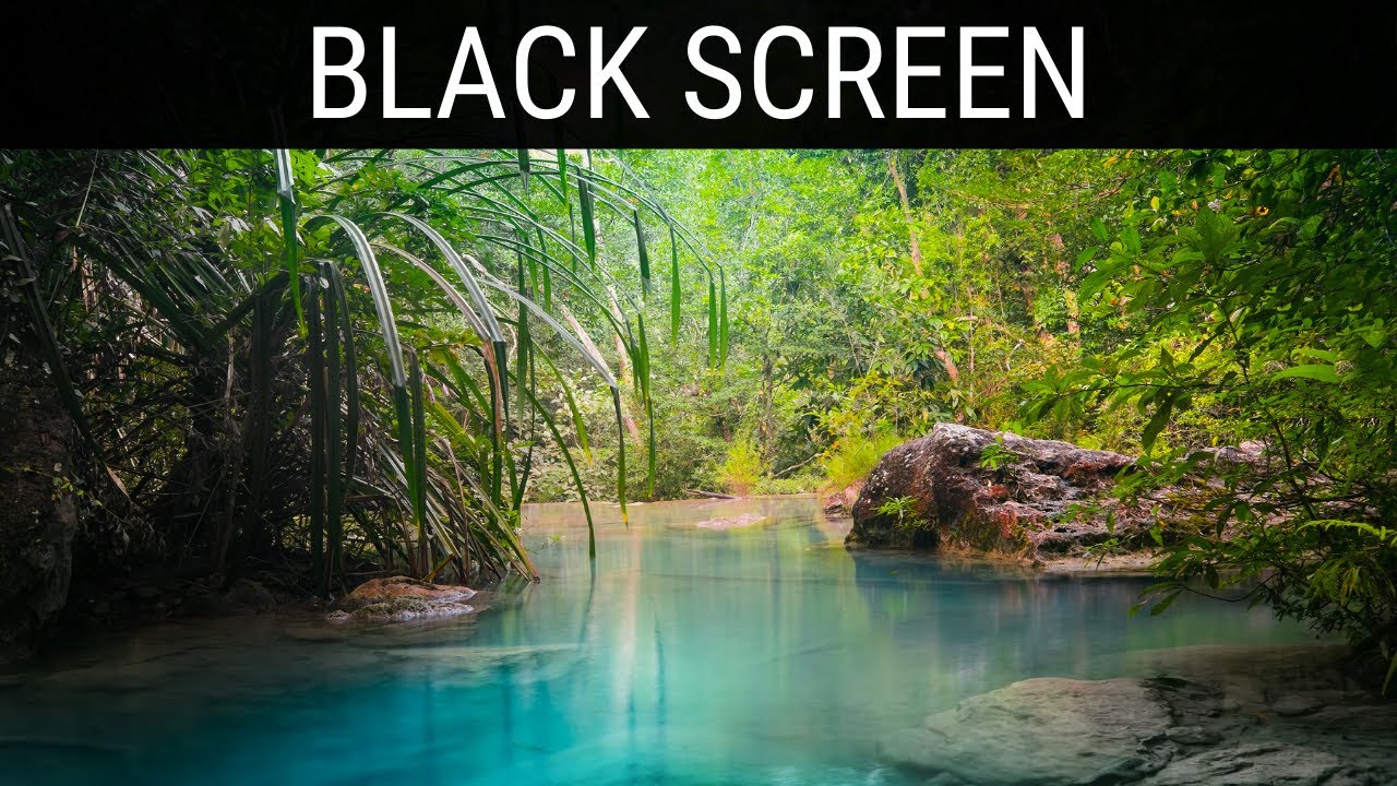 Read more about the article 🎧 Rainforest Sounds Black Screen Ambience | 10 Hours Relaxing And Soothing Dark/Black Screen