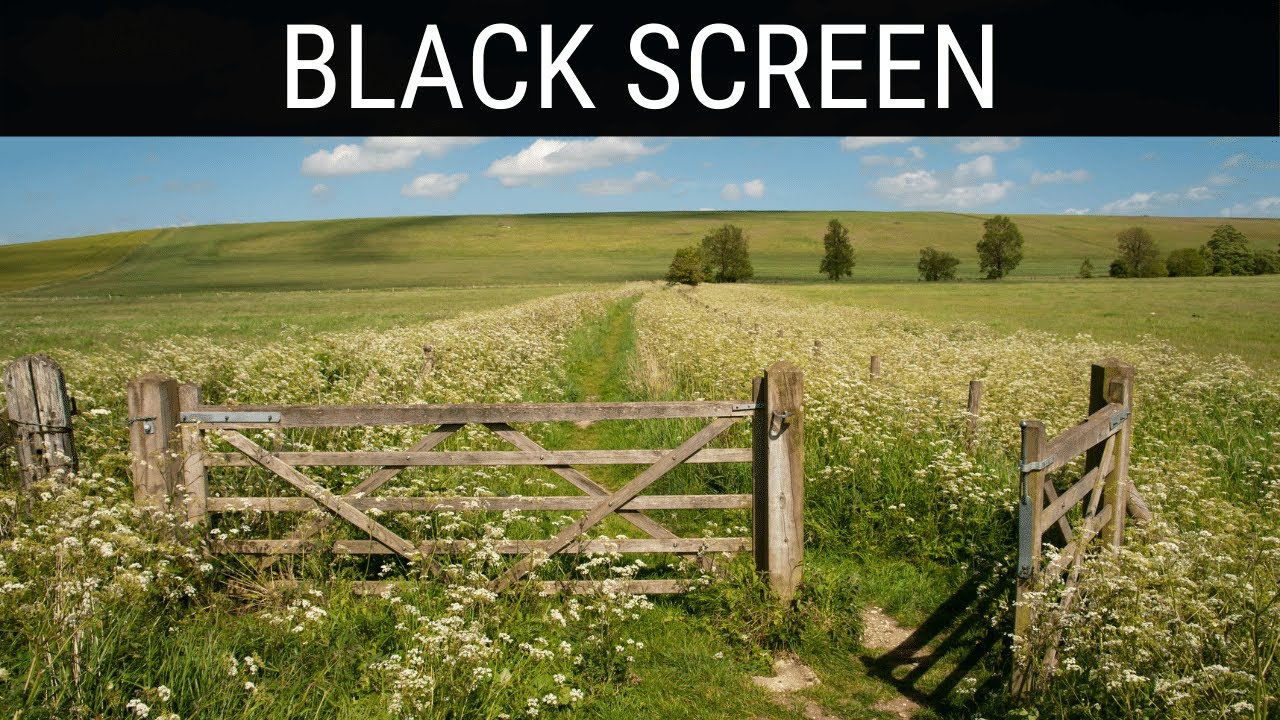 Read more about the article 🎧 Countryside Sounds For Sleeping Black Screen Ambience | 10 Hours Relaxing And Soothing Dark Screen