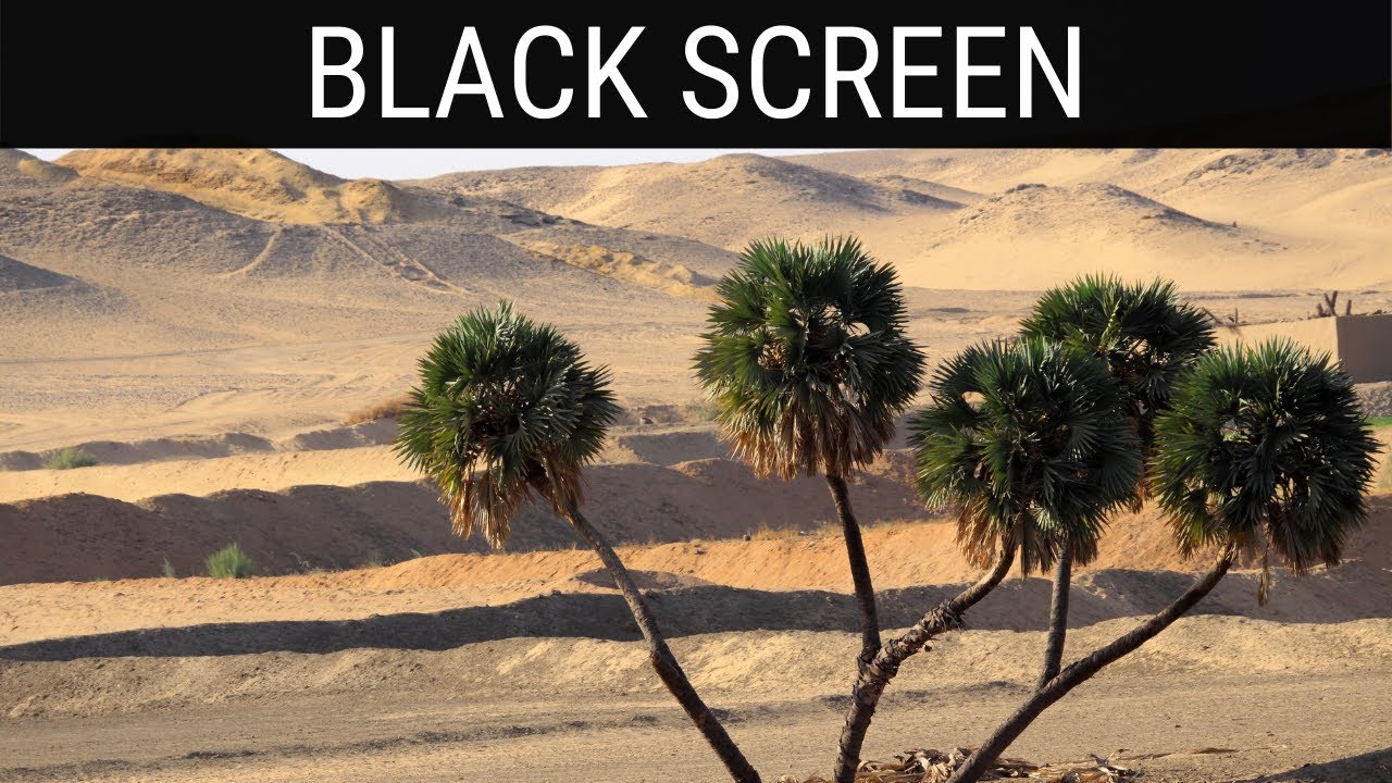 Read more about the article 🎧 African Desert Ambient Sounds For Sleeping | 10 Hours Relaxing Black Screen Ambience