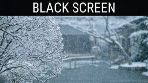 Read more about the article 🎧 Snowstorm Sounds For Sleeping Black Screen Ambience | 10 Hours Relaxing And Soothing Dark Screen