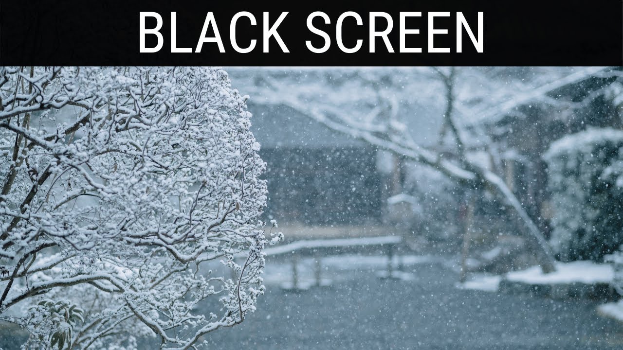 Read more about the article 🎧 Snowstorm Sounds For Sleeping Black Screen Ambience | 10 Hours Relaxing And Soothing Dark Screen