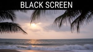 Read more about the article 🎧 Gentle Wave Sounds On Beach At Night  Black Screen Ambience | 10 Hours Relaxing And Soothing