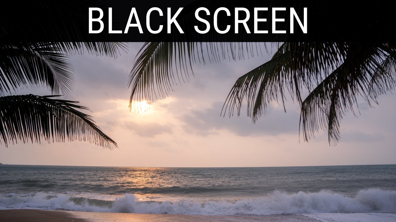 Read more about the article 🎧 Gentle Wave Sounds On Beach At Night  Black Screen Ambience | 10 Hours Relaxing And Soothing