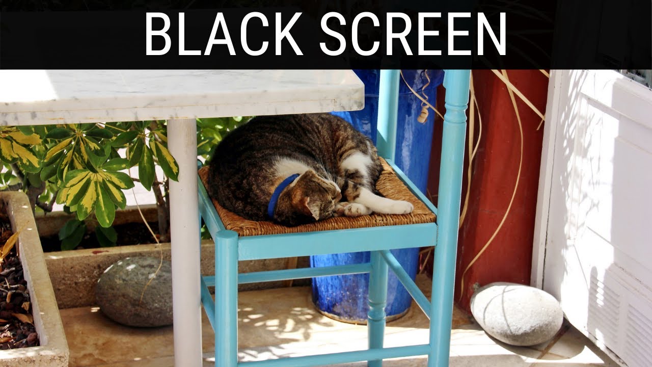 Read more about the article 🎧 Village Siesta Sounds Black Screen Ambience | 10 Hours Relaxing And Soothing Dark/Black Screen